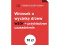 Jak wypełnić wniosek o wycinkę drzew i uniknąć błędów w dokumentacji