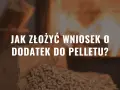 Jak złożyć wniosek o dodatek do pieca na pellet? Na zdjęciu widać stos drewna i pelletu, a w tle płonący kominek.