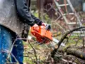 Ile jest ważne pozwolenie na wycinkę drzew i co grozi po terminie
