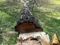 Ile bierze pilarz za wycięcie drzewa? Sprawdź koszty i czynniki wpływające