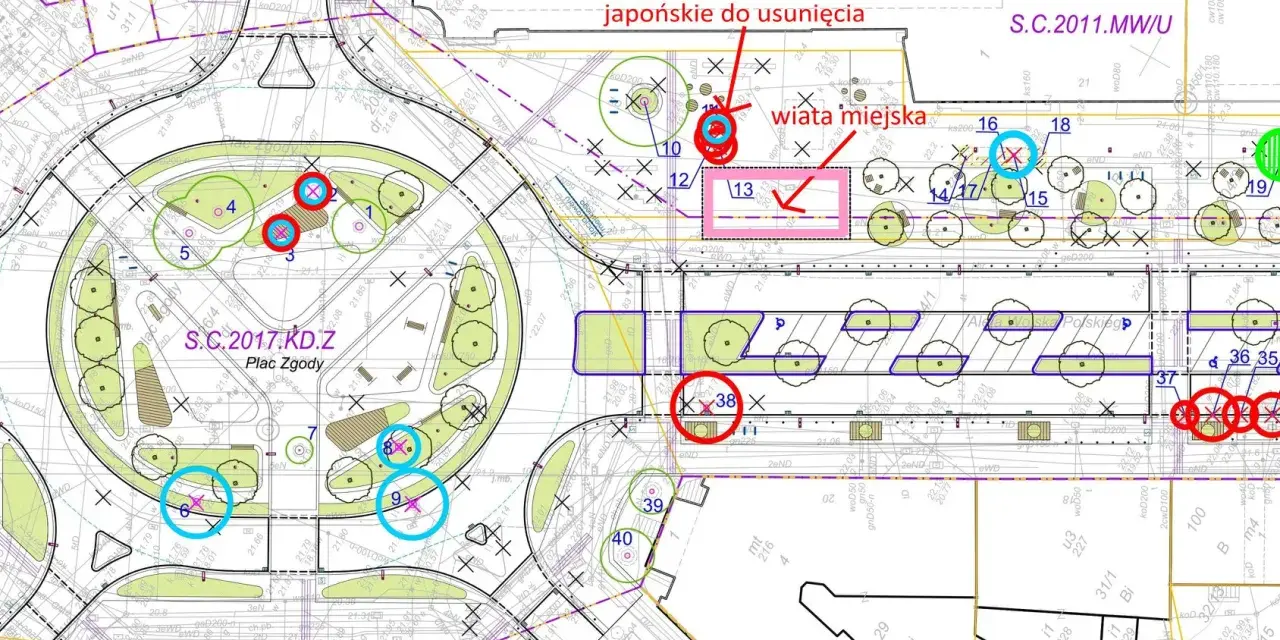 Jak oznacza się drzewa do wycinki? Oznaczenia, które musisz znać