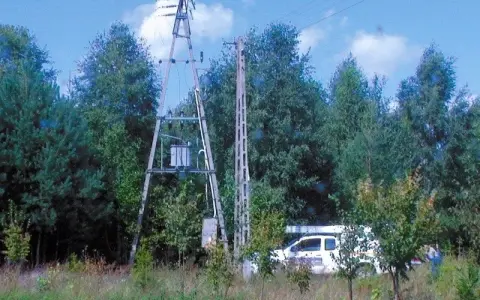 PGE wycinka drzew gdzie zgłosić - uniknij problemów z pozwoleniem