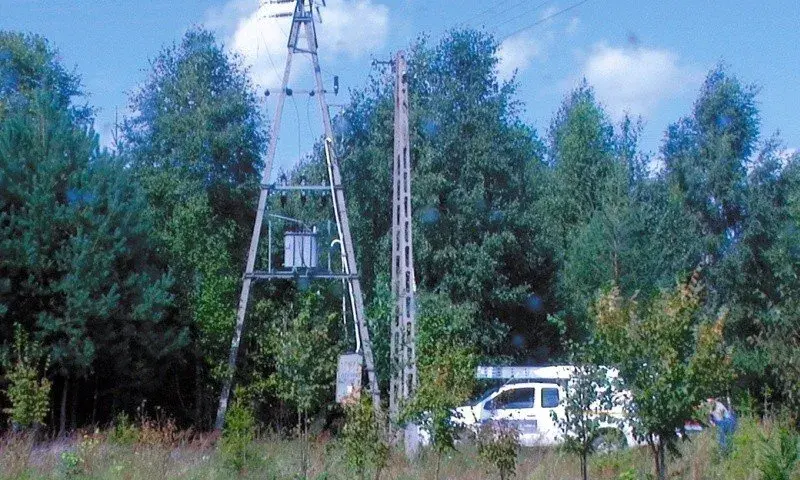 PGE wycinka drzew gdzie zgłosić - uniknij problemów z pozwoleniem