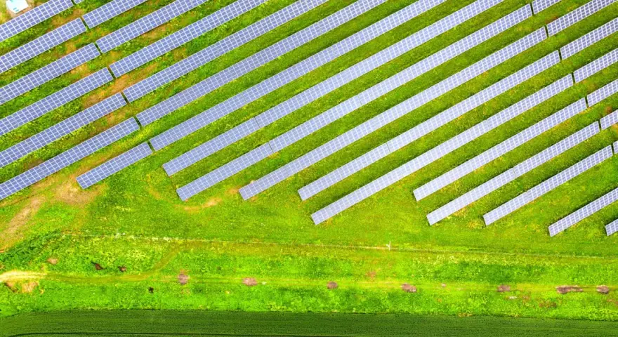 Rozległa farma fotowoltaiczna na zielonym polu, panele ułożone w rzędy pod kątem, łapiące słońce.