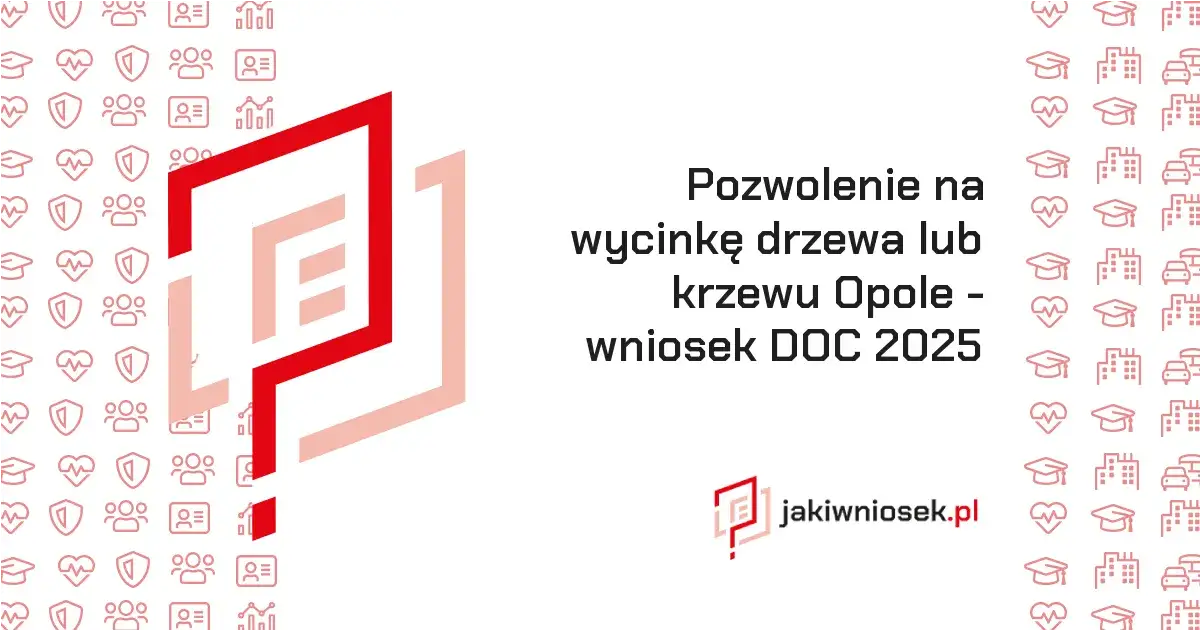 Zdjęcie Jak wypełnić wniosek o wycinkę drzew i uniknąć błędów w dokumentacji